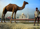 Biz Agra giving you Agra tour and travel packages at budget rates. Book Taj Mahal Agra Tour Packages, Delhi Agra Cheap Holiday Packages from Delhi with us and explore all tourist places at lowest price. We provides information about Travel places,Accommodation,Culture and Heritage,Monument,Transport,Food,Entertainment,Shopping and Booking in Agra.